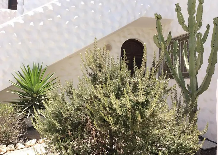 Sunny Terrace Apartment