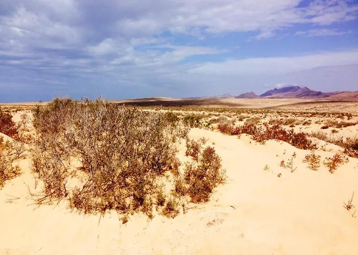 Sunny Terrace Apartment *