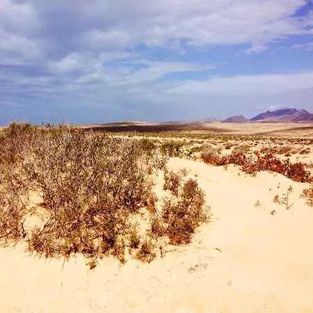 Sunny Terrace Apartment *